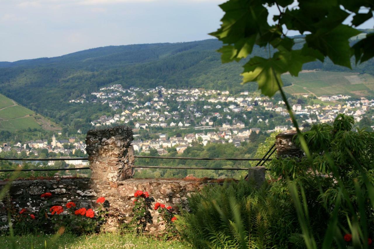 Burg Arras Alf