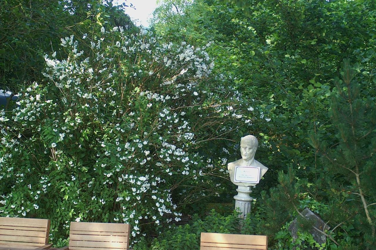 Hotel Burg Arras 3*