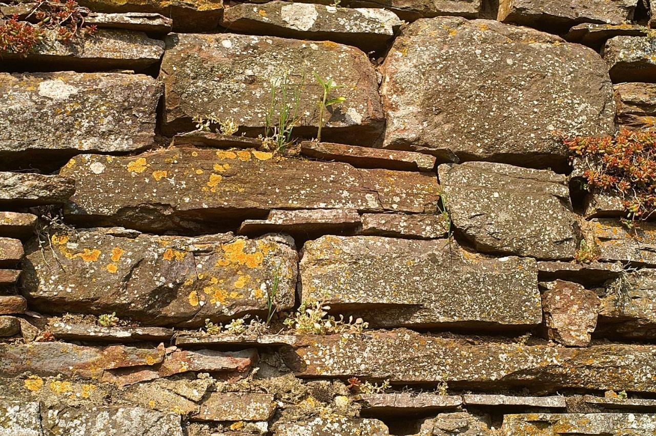 Burg Arras 3* Alf